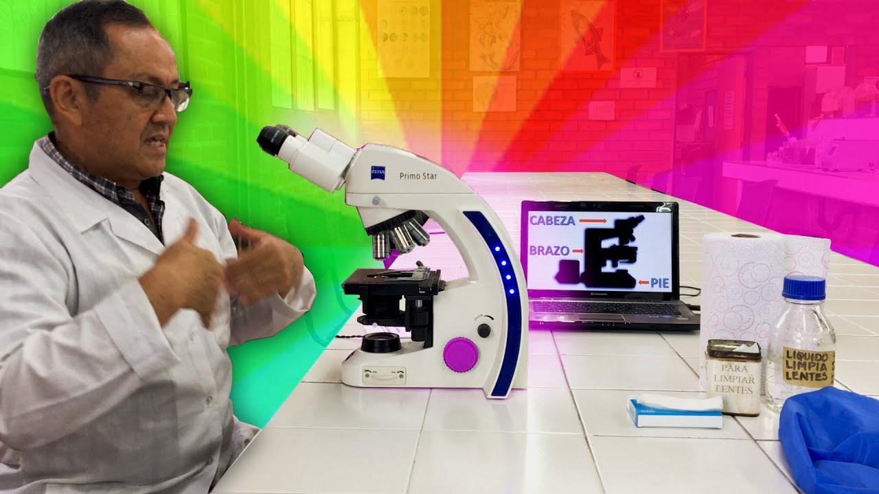 ¿Cuáles son los cuidados que debemos tener con el estereoscopio?